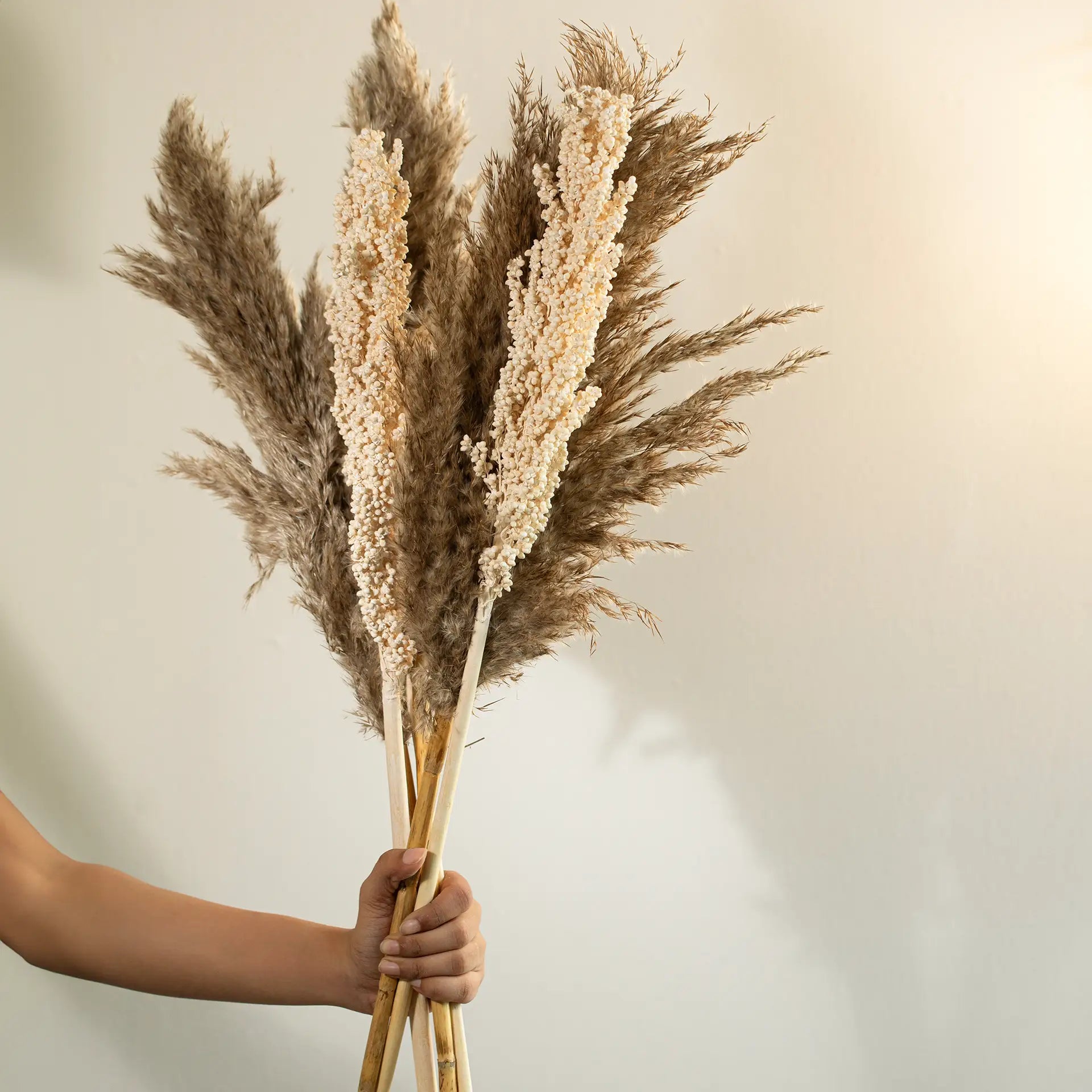 Malar pampas & sorghum stem bundle